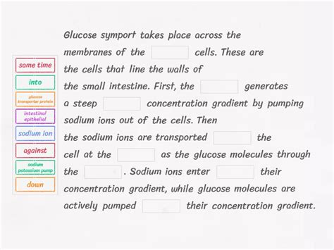 Braes Ah Biology Unit 1 Ka3b Glucose Symport Summary Missing Word