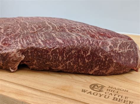 The Wagyu Pitmasters Cut Mason Hill Cattle