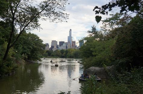 Free Images Tree Flower Lake Building City New York River