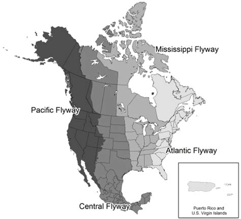 Climate Change Migratory Birds And The Future Of Americas Flyways