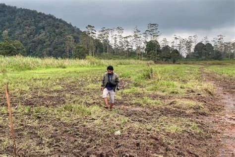 Kasus Ranca Upas Menumbuhkan Etika Di Hutan Hujan Tropis Tersisa Jawa