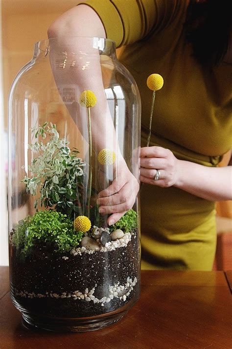 Make Your Own Beautiful Terrarium Inspiring Ideas Home Interior