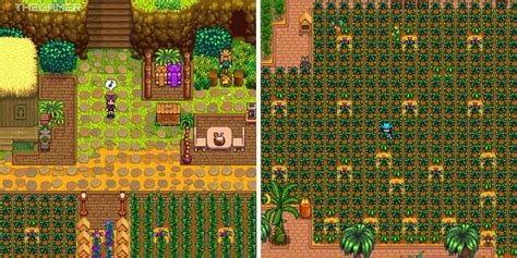 The Best Crops To Grow On Ginger Island In Stardew Valley