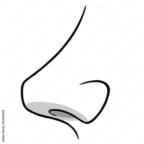 Nose Side View Illustration Stock Vector | Adobe Stock