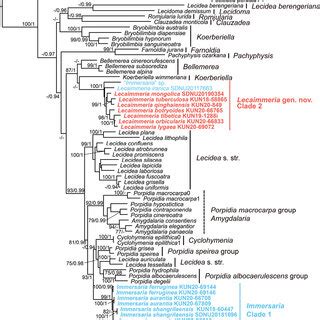 Phylogenetic Tree Constructed From Maximum Likelihood Analyses In