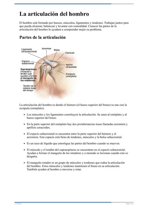 Text La Articulaci N Del Hombro Healthclips Online