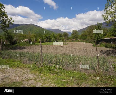 Georgia farm farming agriculture hi-res stock photography and images ...