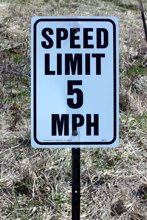 Criminal Charges and Penalties for Driving Without a License in North