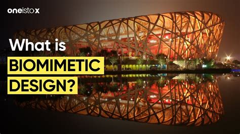 What Is Biomimetic Design YouTube