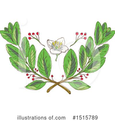 Yerba Mate Clipart #1725587 - Illustration by Vector Tradition SM