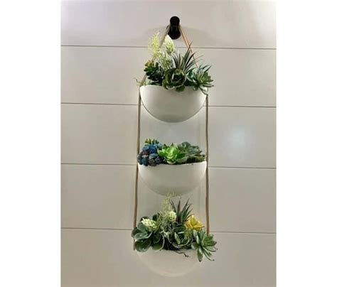 15 Best Hanging Indoor Planters For Your Home Paisley Plants