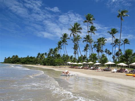 As Melhores Praias Do Brasil Para Entrar No Seu Roteiro De Viagem