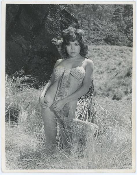 Mexican Actress Elsa Benn In Knit Bikini Top Vintage Risqu Pin Up Photograph