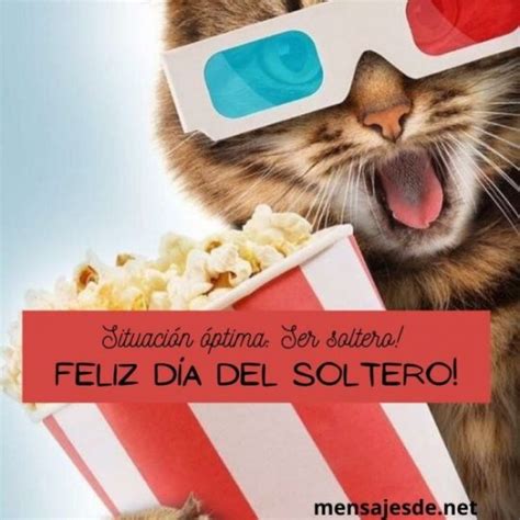 28 Mensajes Día Del Soltero Frases Imágenes Y Tarjetas Para Felicitar