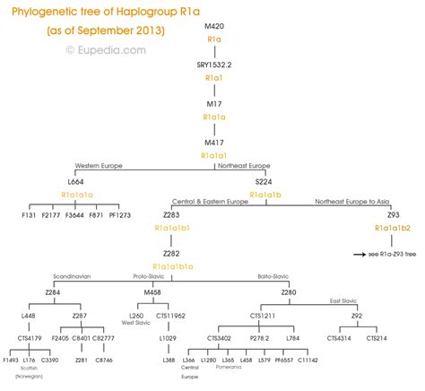 Haplogroup R1a (Y-DNA) - Eupedia