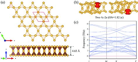 A Top And Side Views Of The Au 4 Monolayer The Primitive Cell Is