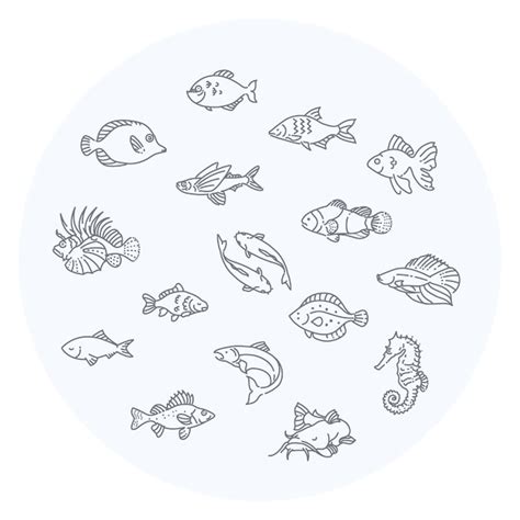 Satz Von Vektor Umriss Fisch Icons Aquarium Premium Vektor