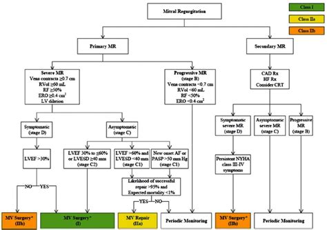 Primary Mitral Valve Regurgitation Update And Review Abstract