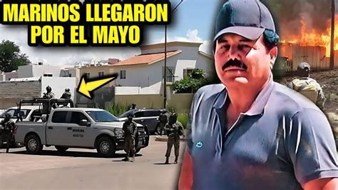 Se Acab Marinos Catean Rancho Del Mayo Zambada En Culiac N Sinaloa