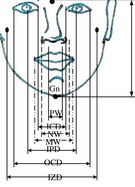 Facial Landmarks And Dimensions Download Scientific Diagram