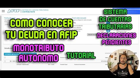 Como Ver Deuda En Afip De Mi Monotributo O Autonomo Sistema De