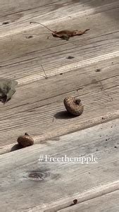 INSTA Samara Weaving Her Legs And Part Of Bikini Bottoms 8 7 23 Phun Org Forum