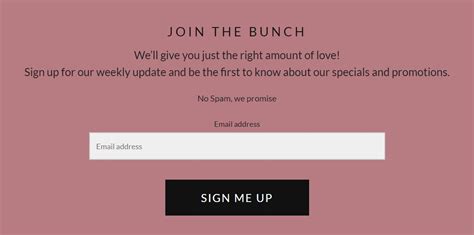 20 Inspiring Newsletter Signup Examples Sendinblue