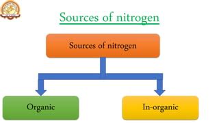 Nitrogen Metabolism : Sources of Nitrogen | PPT