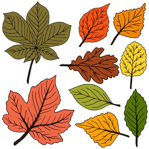 Set of vector drawings with acrylic paints. Collection of autumn leaves ...