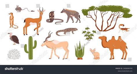 4,311 Plants Animals Desert Stock Vectors and Vector Art | Shutterstock