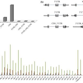 General distribution and schematic structures of transposable elements ... 