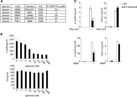 Pikfyve A Class Iii Pi Kinase Is The Target Of The Small Molecular Il