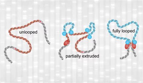 A Novel Perspective on Gene Regulation - Assignment Point