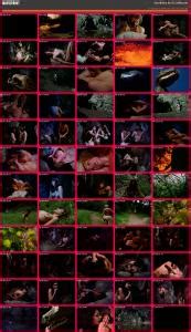 One Million Ac Dc Free Porn Adult Videos Forum