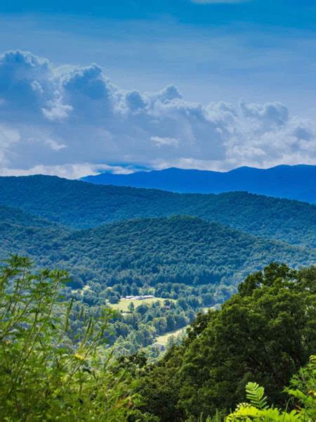 Sensational Places For Zip Lining In Ga Our Best Tips