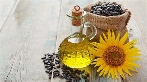 Aceite de girasol Tú mejor aliado para hidratar piel y cabello