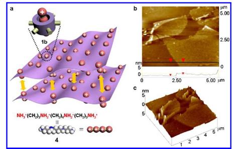 Pdf Free Standing Single Monomer Thick Two Dimensional Polymers