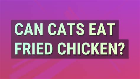 Can Cats Eat Fried Chicken Youtube