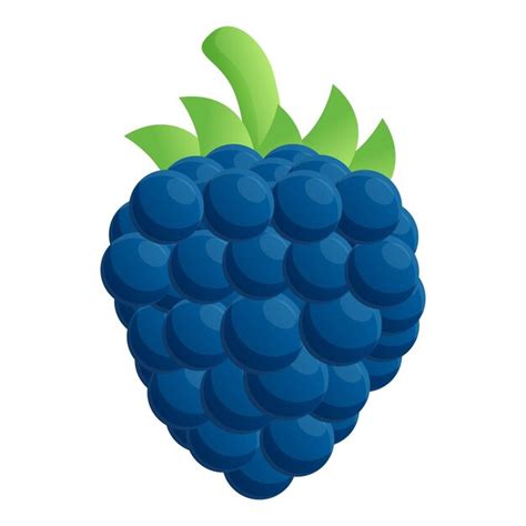 Premium Vector Raw Blackberry Icon Cartoon Of Raw Blackberry Vector