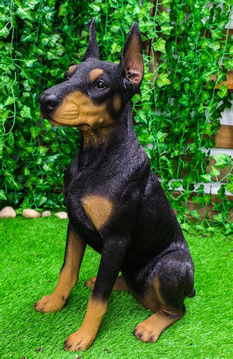 Doberman Pinscher All Black | ubicaciondepersonas.cdmx.gob.mx