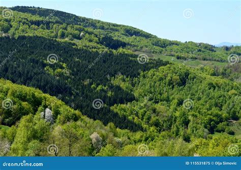 Landscape Of Green Hills Stock Image Image Of Hill 115531875