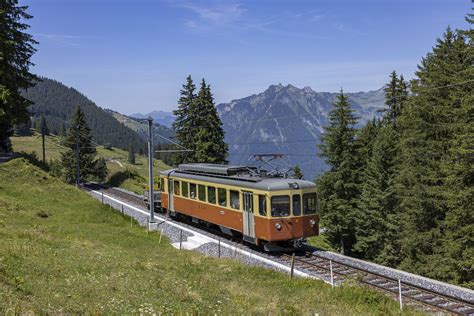 Be Der Blm Zwischen Gr Tschalp Und Winteregg