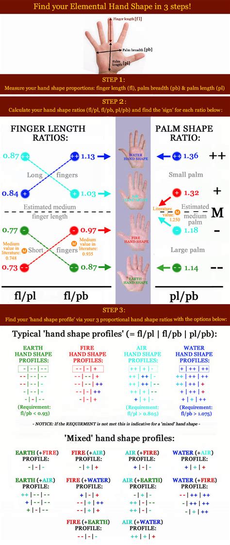 Find your hand shape in 3 steps! | Hand Facts: News about hands!