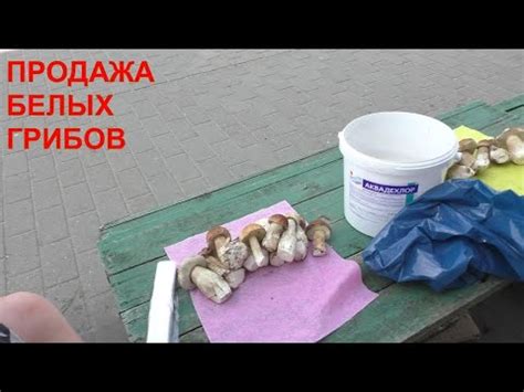 СКОЛЬКО СТОЯТ БЕЛЫЕ ГРИБЫ НА РЫНКЕ! ПРОДАЖА БЕЛЫХ ГРИБОВ! Сколько можно ...