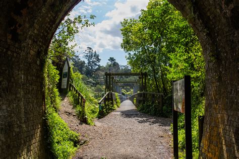 Karangahake Tunnel Walk Karangahake Gorge Lets Be Explorers