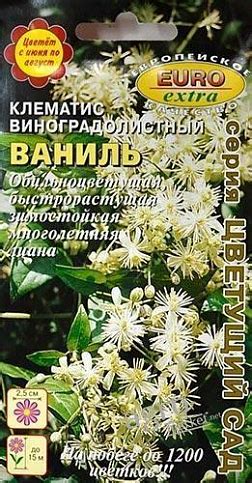 Клематис винограднолистный "Ваниль" ТМ "Аэлита" 0.1г купить почтой в ...