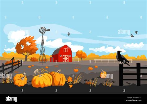 Autumn farm landscape. Rural illustration with pumpkins, crows and red ...