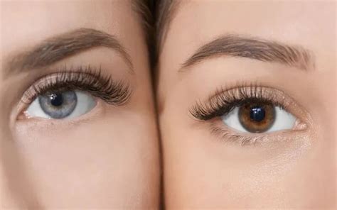 Wispy Lash Extensions 101 Everything You Need To Know