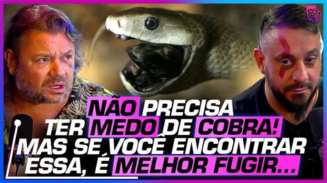 A COBRA MAIS PERIGOSA do MUNDO e o PERIGO da sua PEÇONHA RICHARD