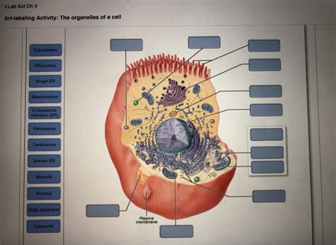 Solved Question | Chegg.com